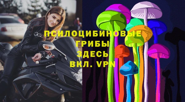 PSILOCYBIN Верхнеуральск